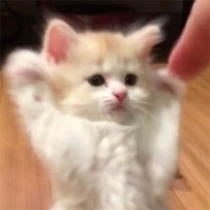 Ảnh đại diện người dùng Quỳnh Như