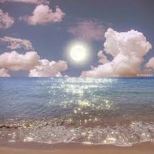 Ảnh đại diện người dùng Mỹ Duyên